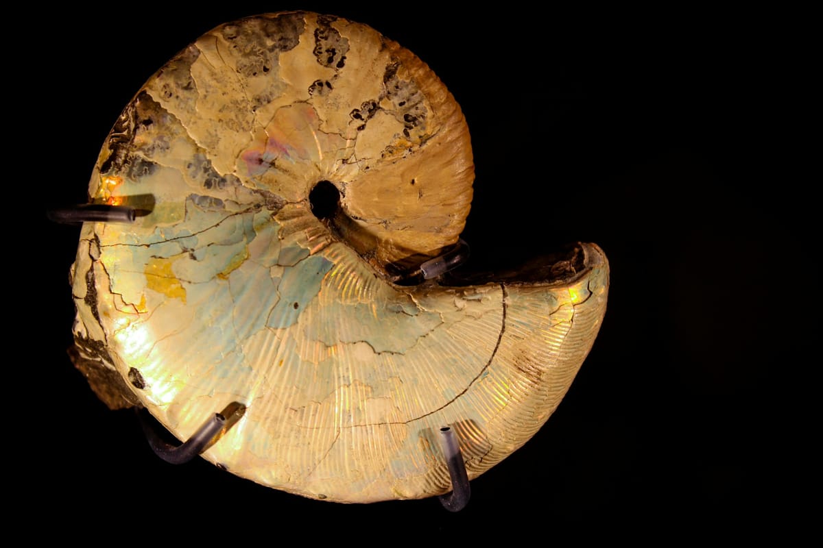 The Depths Await: Your Daily Guide to DeFi, Crypto, and AI